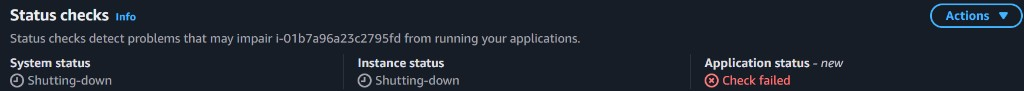 ASG instance shutting down: system and instance Shutting-down, Application status Check failed