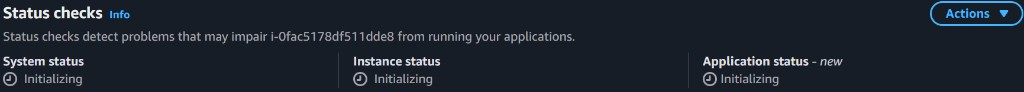 Replacement ASG instance Status checks: system, instance, and Application status Initializing