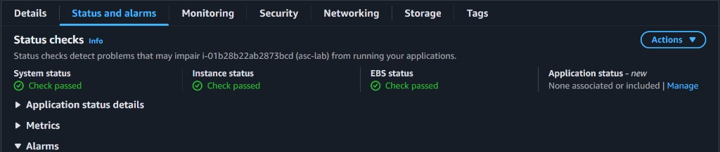 EC2 instance Status and alarms: system, instance, and EBS checks passed; Application status None associated or included while the check is excluded from aggregation